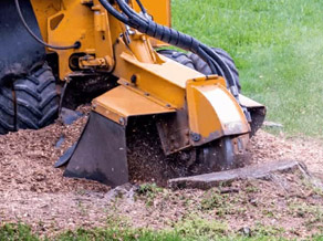 Stump grinding